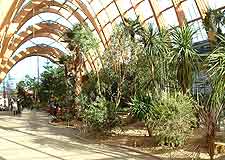 Interior view of the Winter Gardens
