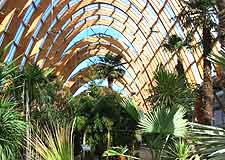 Picture of the exotic planting at the Winter Gardens