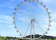 Close-up picture of the Singapore Flyer, a major tourist attraction in the city