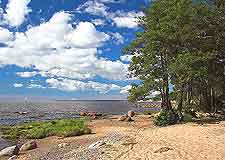 Picture of the Zelenogorsk coastline