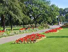 Picture of the seasonal summer bedding at the Winter Gardens