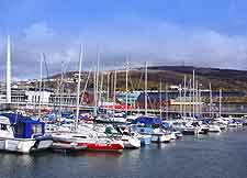 Photo of the marina in the Maritime Quarter