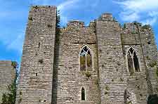 Photo of Oystermouth Castle