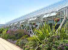 Photo of tropical plants in the Plantasia