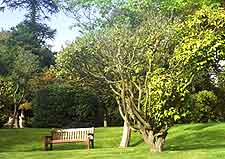 Further photo of Singleton Park