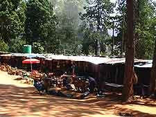 Picture of traditional market in Mbabane, the capital city