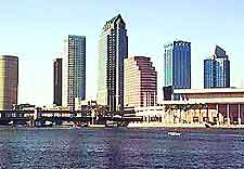 View of the Tampa skyline