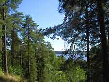 Photo showing the Pyynikin Harju area