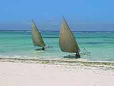 Zanzibar Beach photo