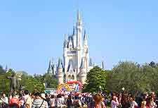 View of the Disney Resort