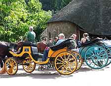 Photo of horse and carriage rides at Cockington