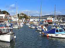 Image of the harbour in Paignton