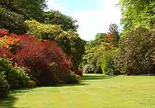Photo showing the Trewithen Gardens in summer