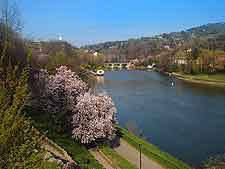 Further picture of the Po River in the springtime