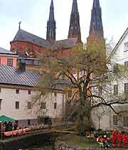 Photo of the Upplandsmuseet (Uppland Museum)