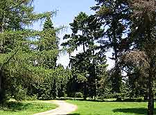 Arboretum de Chevreloup image