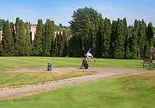 Picture of golfer at the Cedar Hill Municipal Golf Course