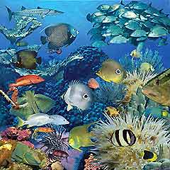Washington Attractions for Children