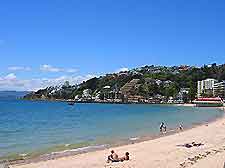 Wellington Beaches