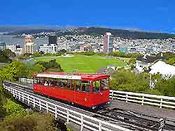 Wellington Tourist Attractions