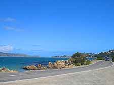 Wellington Travel and Transport