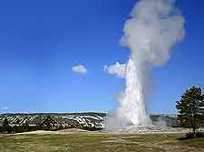 Photo of the spectaular Old Faithful geyser