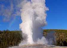 Image of Old Faithful geyser