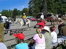 Photo of local horse display