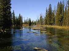 Island Park view (Idaho)