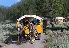 Picture of traditional procession of wagons and horses