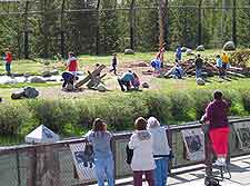 Tourist picture at the Grizzly and Wolf Discovery Center