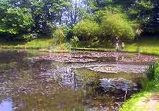 Photo of Weymouth water gardens