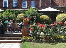 Further image of the Royal Hotel gardens in the summer