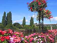 Photograph showing summer bedding plants lining the banks of the River Severn