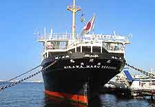 View showing the colossal Hikawa-Maru Ship